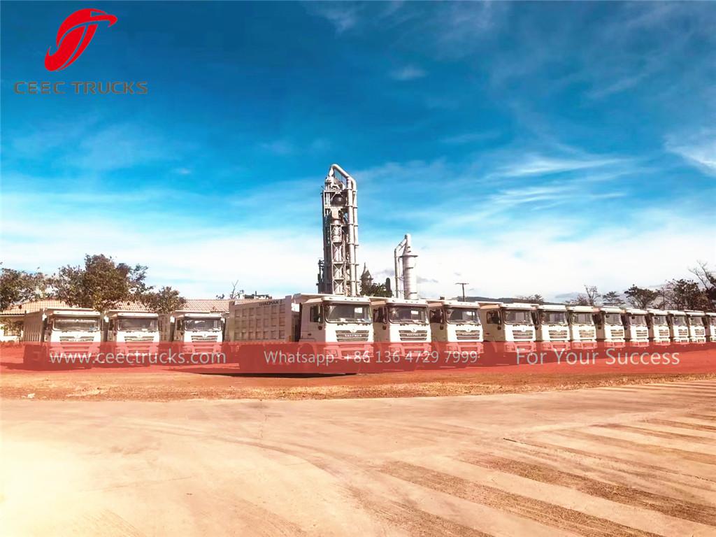 SHACMAN 30T and 50T dump truck export to Africa Guinea