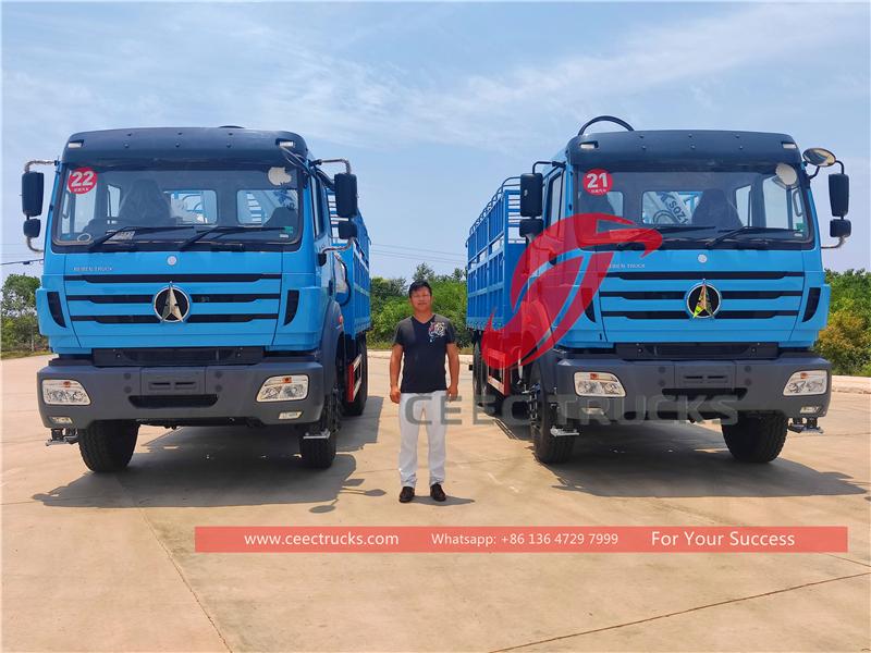 坦桑尼亚 - 2 辆北奔右舵 6×4 折臂式起重车从 CEEC TRUCKS 出口